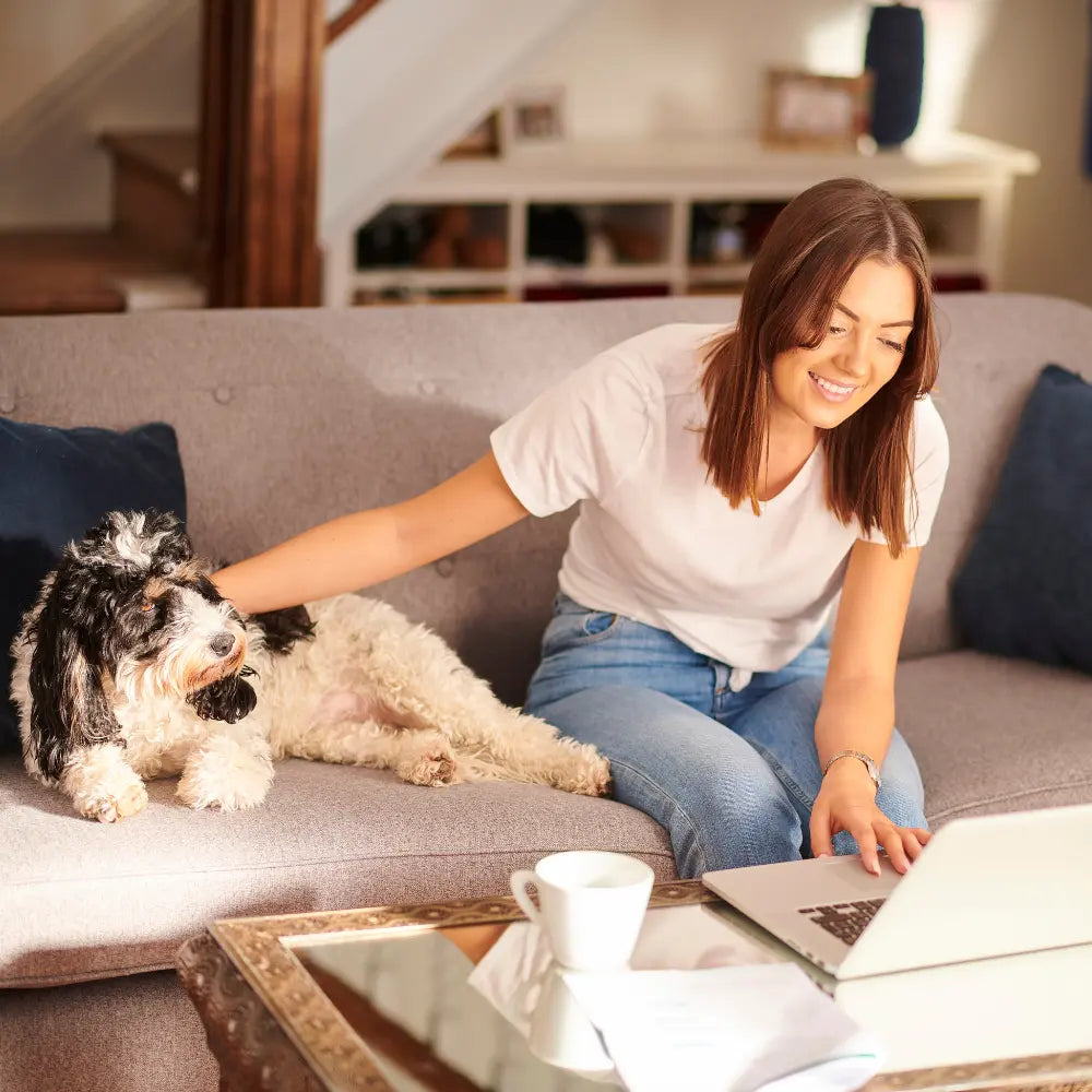 Hundekrankenversicherung