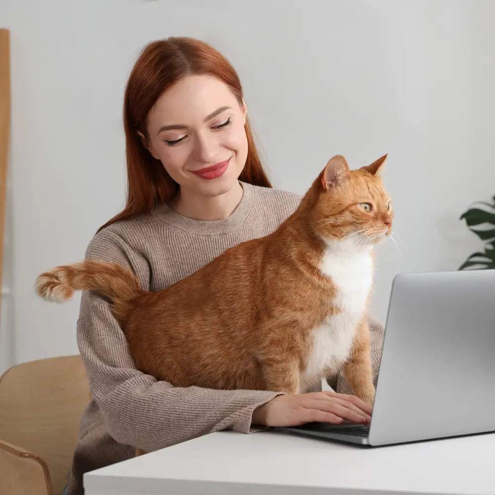 Katzenkrankenversicherung